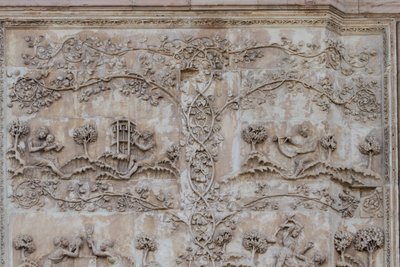 Naamah lehrt ein Kind lesen und Tubal-cain schlägt Glocken mit einem Hammer; Enos, Sohn von Seth, zeichnet mit einem Zirkel, Geschichten aus der Genesis, Basreliefs von Lorenzo Maitani, erste Säule, Seitenfassade der Kathedrale von Orvieto, Umbrien, Italie von Lorenzo Maitani