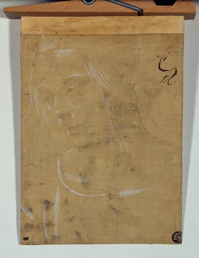 Kopf eines jungen Mädchens, Dreiviertelansicht nach links von Lorenzo di Credi