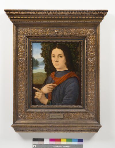 Porträt eines jungen Mannes von Lorenzo di Credi