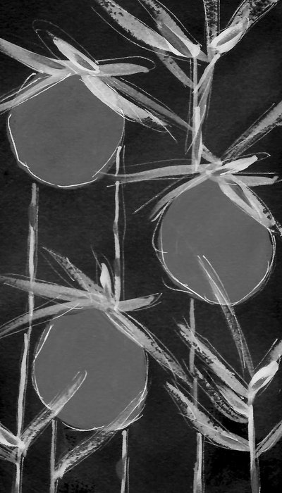 Abstrakte Botanische Formen von Lori Ann Folz
