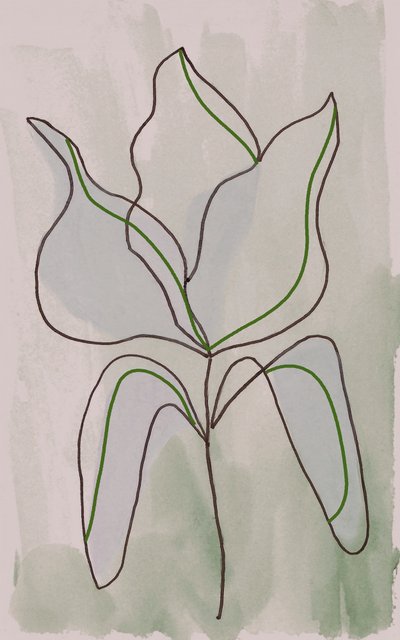 Minimalistische Botanische Umrisse von Lori Ann Folz