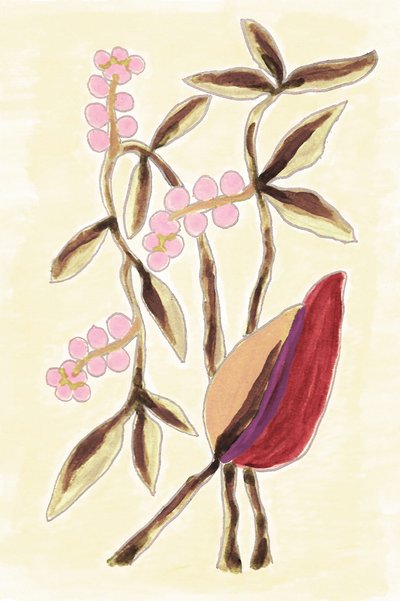 Rosa Beeren Botanicals von Lori Ann Folz