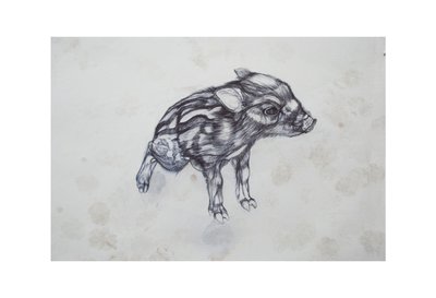 Kleines Schwein, 2015 von Lou Gibbs