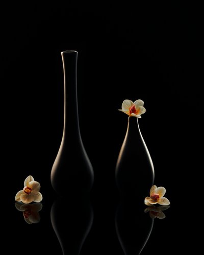 Elegante Orchideenreflexionen von Louie Luo