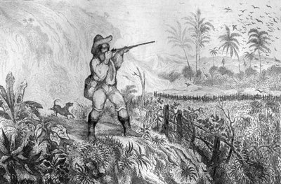 Ich tötete drei... Gravur nach der Zeichnung von M. de Sainson für das Buch von Daniel Defoe „Robinson Crusoe“ französische Ausgabe von 1837. von Louis Auguste de Sainson