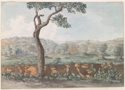 Ruine des Castor-und-Pollux-Tempels innerhalb der Mauern des alten Agrigentum von Louis Ducros