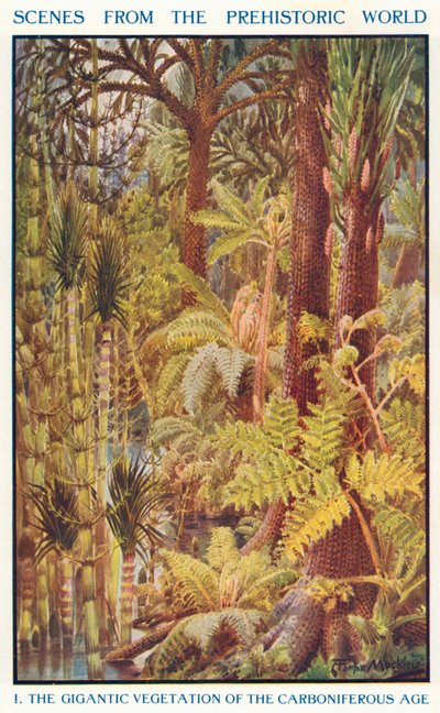 Die gigantische Vegetation des Karbonzeitalters von Louis Fairfax Muckley