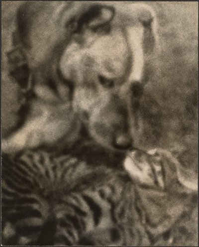 Katze und Hund von Louis Fleckenstein