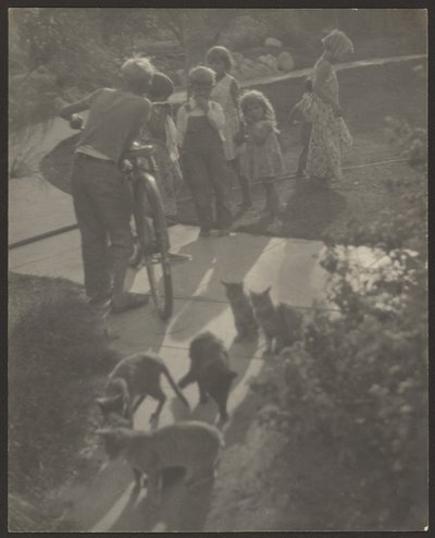 [Kinder und Katzen] von Louis Fleckenstein