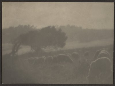 Landschaft mit Schafen von Louis Fleckenstein