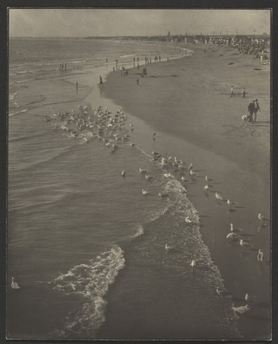 Newport Beach von Louis Fleckenstein