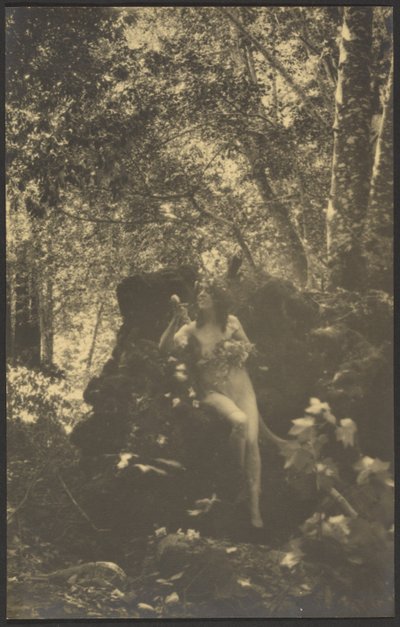 [Nackte Frau im Wald] von Louis Fleckenstein