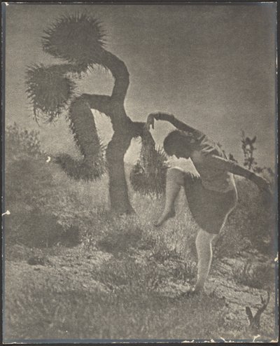 Der tölpelhafte Joshua von Louis Fleckenstein