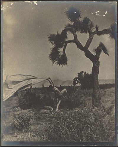 Der Wüstenwind von Louis Fleckenstein
