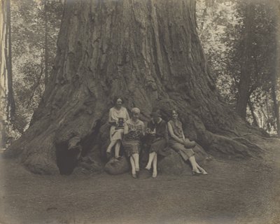 Frauen mit Kameras am Fuße eines Baumes von Louis Fleckenstein