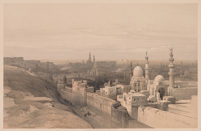 Ägypten und Nubien: Band III - Nr. 26, Kairo, Blick nach Westen von Louis Haghe