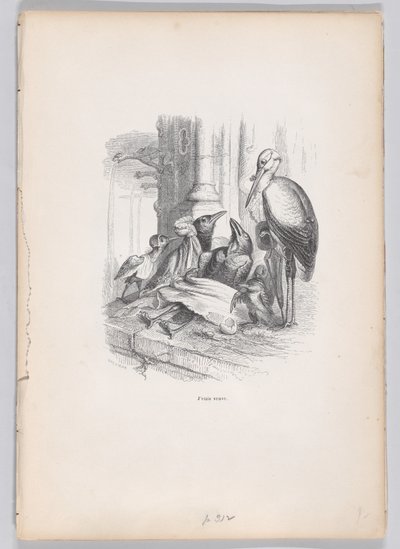 Ich war eine Witwe aus Szenen aus dem privaten und öffentlichen Leben der Tiere von Louis Henri Brévière