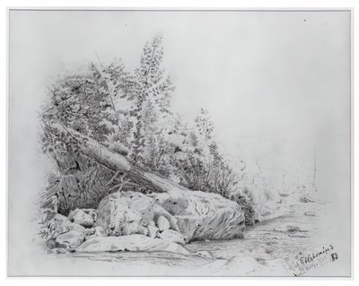 Gefallener Baum, Keene Valley von Louis Michel Eilshemius