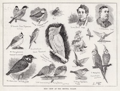 Vogelschau im Crystal Palace von Louis Wain