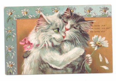 Edwardianische Postkarte von zwei sich umarmenden Katzen, ca. 1910 von Louis Wain