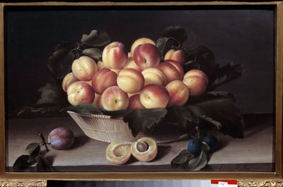 Stillleben mit Aprikosen. Korb mit Aprikosen und Pflaumen im Vordergrund von Louise Moillon