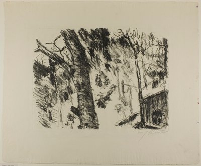 Buchenwälder, aus Frühling in den Bergen von Lovis Corinth