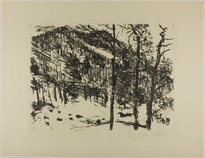 Das Tal, aus Früher Frühling in den Bergen von Lovis Corinth