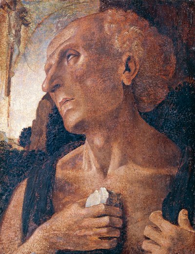 Heiliger Hieronymus von Luca (attr.to) Signorelli