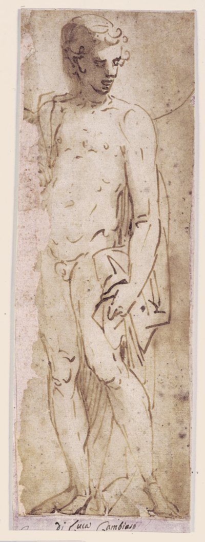 Jugendlicher mit Mantel, stehend in einer Nische von Luca Cambiaso