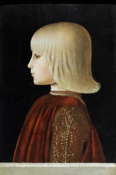 Porträt eines jungen Mannes (Guidubaldo da Montefeltro?), ca. 1478 von Luca Signorelli