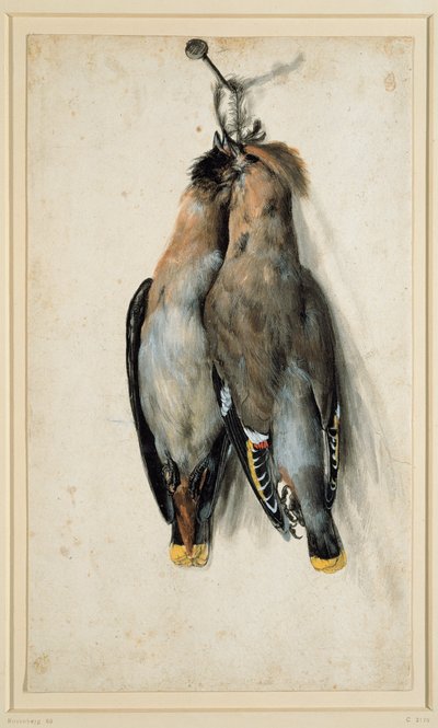 Zwei tote Seidenschwänze von Lucas Cranach the Elder