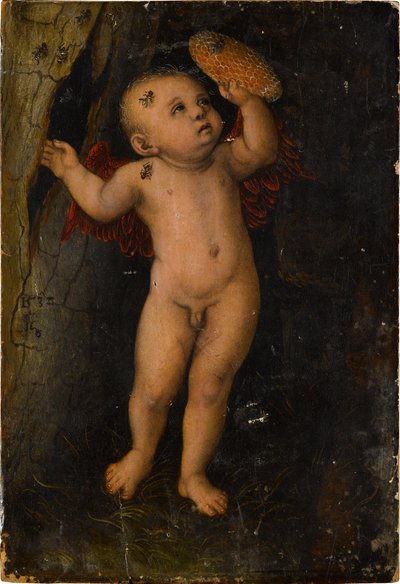 Amor als Honigdieb (Fragment) von Lucas Cranach
