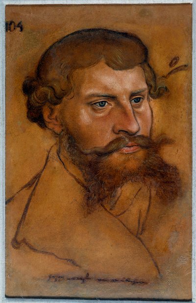 Porträt von Herzog Ernst IV. von Sachsen, Prinz der Reformation Zeichnung von Lucas Cranach dem Älteren von Lucas Cranach