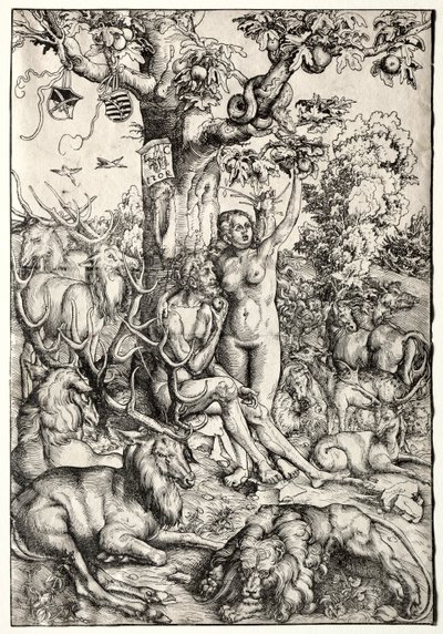 Adam und Eva im Paradies, 1509 von Lucas Cranach the Elder