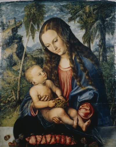 Madonna unter der Tanne, ca. 1510 von Lucas Cranach the Elder