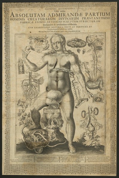 Dritte Vision, aus Spiegel des Mikrokosmos von Lucas Kilian