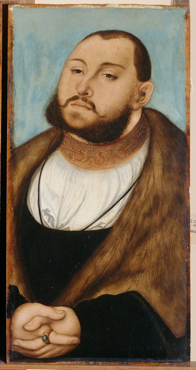 Johann Friedrich I., Kurfürst von Sachsen (1503-1554), von Lucas Cranach dem Älteren (1472-1553). Öl auf Holz von Lucas the Elder Cranach