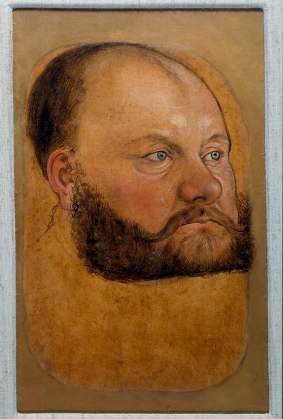 Porträt von Prinz Wolf Anhalt von Sachsen, Prinz der Reform (Pastellzeichnung von Lucas Cranach dem Älteren) von Lucas the Elder Cranach