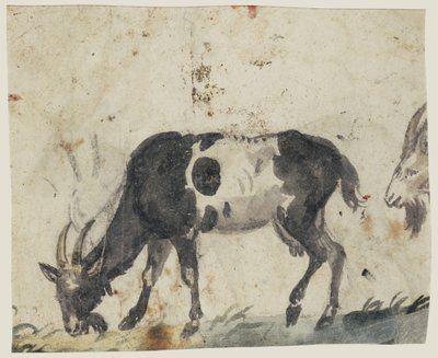 Studie von Ziegen (verso), ca. 1520-30 von Lucas the Elder Cranach