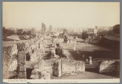 Ruinen der Kaiserpaläste auf dem Palatin in Rom von Ludovico Tuminello
