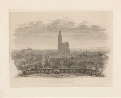 Der Münster in Straßburg vom östlichen Turm der Thomaskirche gesehen von Ludwig Friedrich Schnell