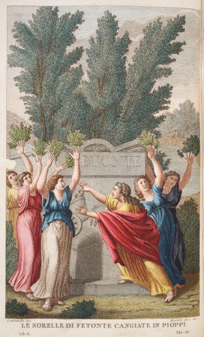 Heliaden in Bäume, die Bernstein liefern, Illustration aus Ovids Metamorphosen, Florenz, 1832 von Luigi Ademollo