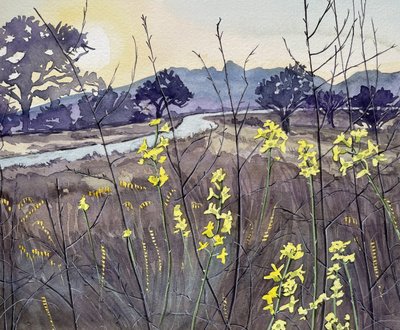 Goldene Stunde Blüten von Luisa Millicent