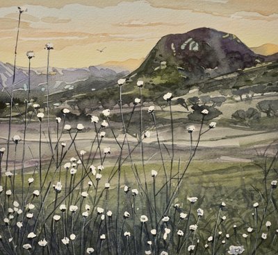 Goldener Himmel Wildblumen von Luisa Millicent