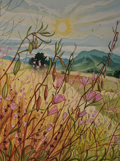 Rosa Feld Sonnenaufgang von Luisa Millicent