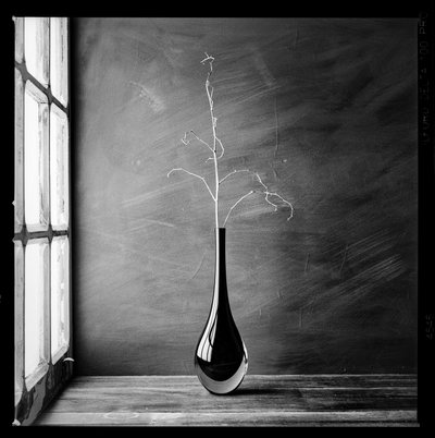 Minimalistische Zweigvase von Luiz Laercio