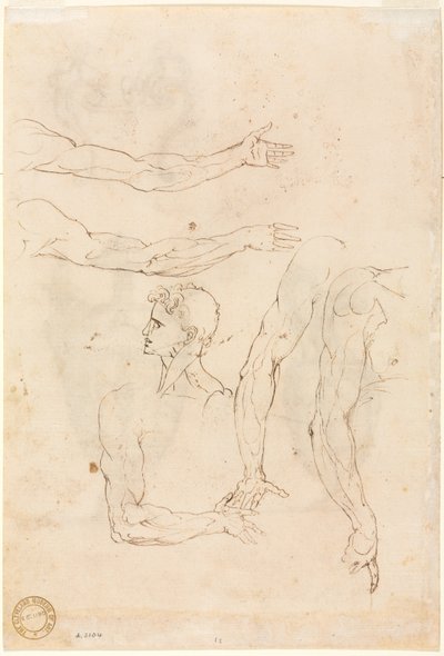 Skizzen von fünf Armen und einem Kopf verso, Mitte 1500er von Luzio Romano