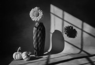 Herbstliches Sonnenblumen-Stillleben von Lydia Jacobs