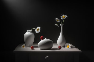  von Lydia Jacobs