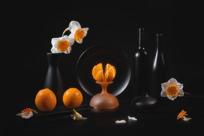  von Lydia Jacobs